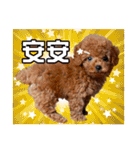 SUPERBALL（個別スタンプ：1）