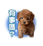 SUPERBALL（個別スタンプ：2）