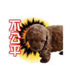 SUPERBALL（個別スタンプ：3）