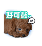 SUPERBALL（個別スタンプ：4）
