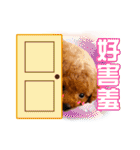 SUPERBALL（個別スタンプ：5）