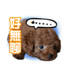 SUPERBALL（個別スタンプ：6）