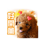SUPERBALL（個別スタンプ：7）