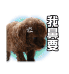 SUPERBALL（個別スタンプ：10）