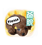 SUPERBALL（個別スタンプ：14）