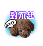 SUPERBALL（個別スタンプ：24）