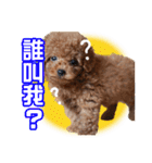 SUPERBALL（個別スタンプ：25）