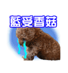 SUPERBALL（個別スタンプ：29）