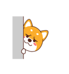 Ceao Shiba（個別スタンプ：7）