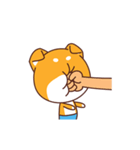 Ceao Shiba（個別スタンプ：16）
