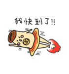 caca wizard（個別スタンプ：26）