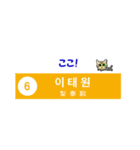 韓国ソウルの地下鉄駅名とかわいいネコたち（個別スタンプ：27）