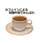 実写！コーヒー（個別スタンプ：37）