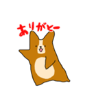 コーギーのあいうえお（個別スタンプ：1）