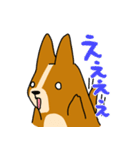 コーギーのあいうえお（個別スタンプ：4）