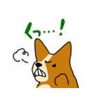 コーギーのあいうえお（個別スタンプ：8）