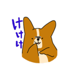 コーギーのあいうえお（個別スタンプ：9）