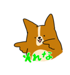 コーギーのあいうえお（個別スタンプ：15）