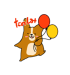 コーギーのあいうえお（個別スタンプ：16）