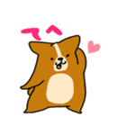 コーギーのあいうえお（個別スタンプ：19）