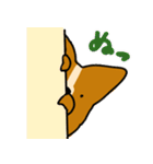 コーギーのあいうえお（個別スタンプ：23）