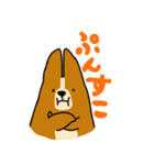コーギーのあいうえお（個別スタンプ：28）