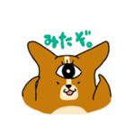 コーギーのあいうえお（個別スタンプ：31）