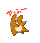 コーギーのあいうえお（個別スタンプ：35）