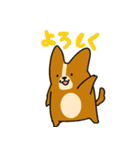 コーギーのあいうえお（個別スタンプ：36）