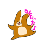 コーギーのあいうえお（個別スタンプ：39）