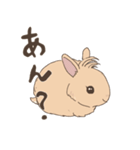 もひかんうさぎ（個別スタンプ：2）