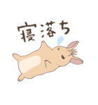 もひかんうさぎ（個別スタンプ：13）