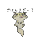 レオパー子さん（個別スタンプ：2）
