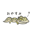 レオパー子さん（個別スタンプ：4）