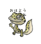 レオパー子さん（個別スタンプ：7）