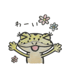 レオパー子さん（個別スタンプ：8）