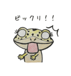 レオパー子さん（個別スタンプ：12）