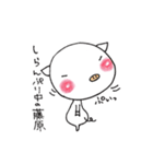 藤原さんのブタさん（個別スタンプ：16）