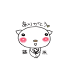 藤原さんのブタさん（個別スタンプ：20）