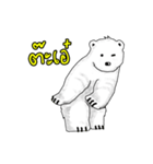 P BEAR FAMILY - Thai version（個別スタンプ：7）