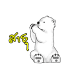 P BEAR FAMILY - Thai version（個別スタンプ：8）