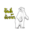 P BEAR FAMILY - Thai version（個別スタンプ：9）