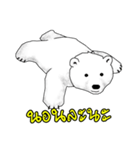 P BEAR FAMILY - Thai version（個別スタンプ：14）