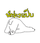 P BEAR FAMILY - Thai version（個別スタンプ：16）