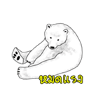 P BEAR FAMILY - Thai version（個別スタンプ：19）