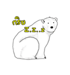 P BEAR FAMILY - Thai version（個別スタンプ：20）
