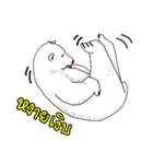 P BEAR FAMILY - Thai version（個別スタンプ：23）