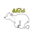 P BEAR FAMILY - Thai version（個別スタンプ：24）