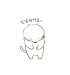 My little CAT(Korean ver.)（個別スタンプ：1）