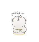 My little CAT(Korean ver.)（個別スタンプ：5）
